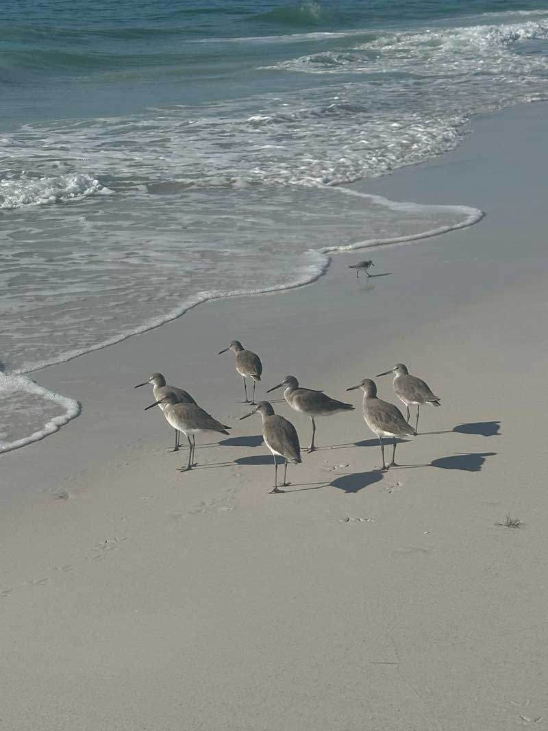 A Day of Movement and Quiet Drama